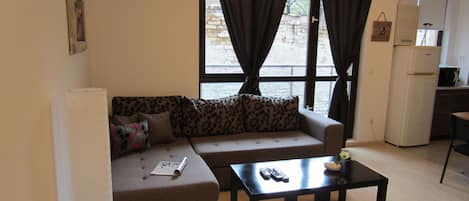Standard Apartment | Living room | TV, DVD player