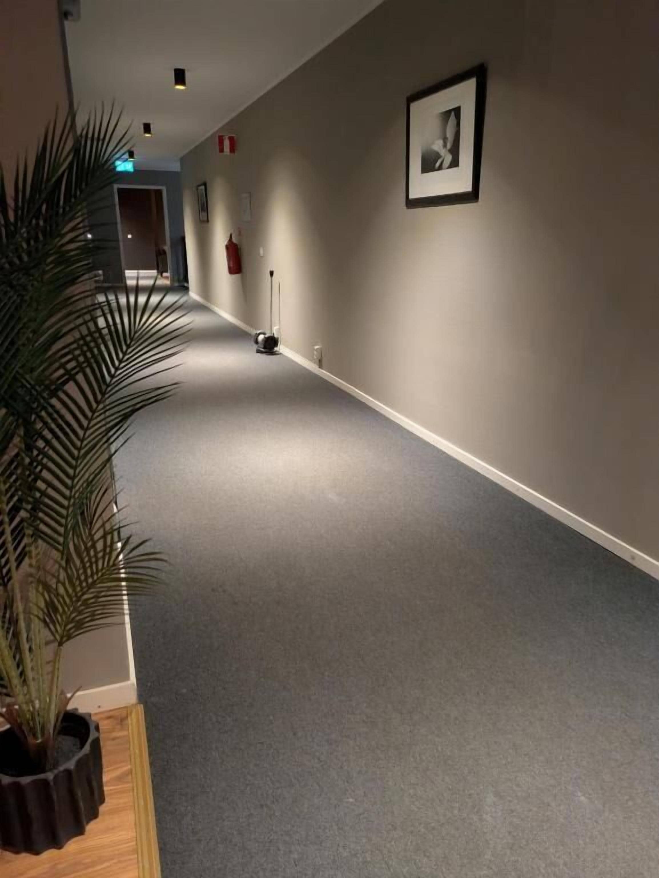 Een gang met een grijs tapijt, een kamerplant, een ingelijst schilderij aan de muur en een brandblusser.