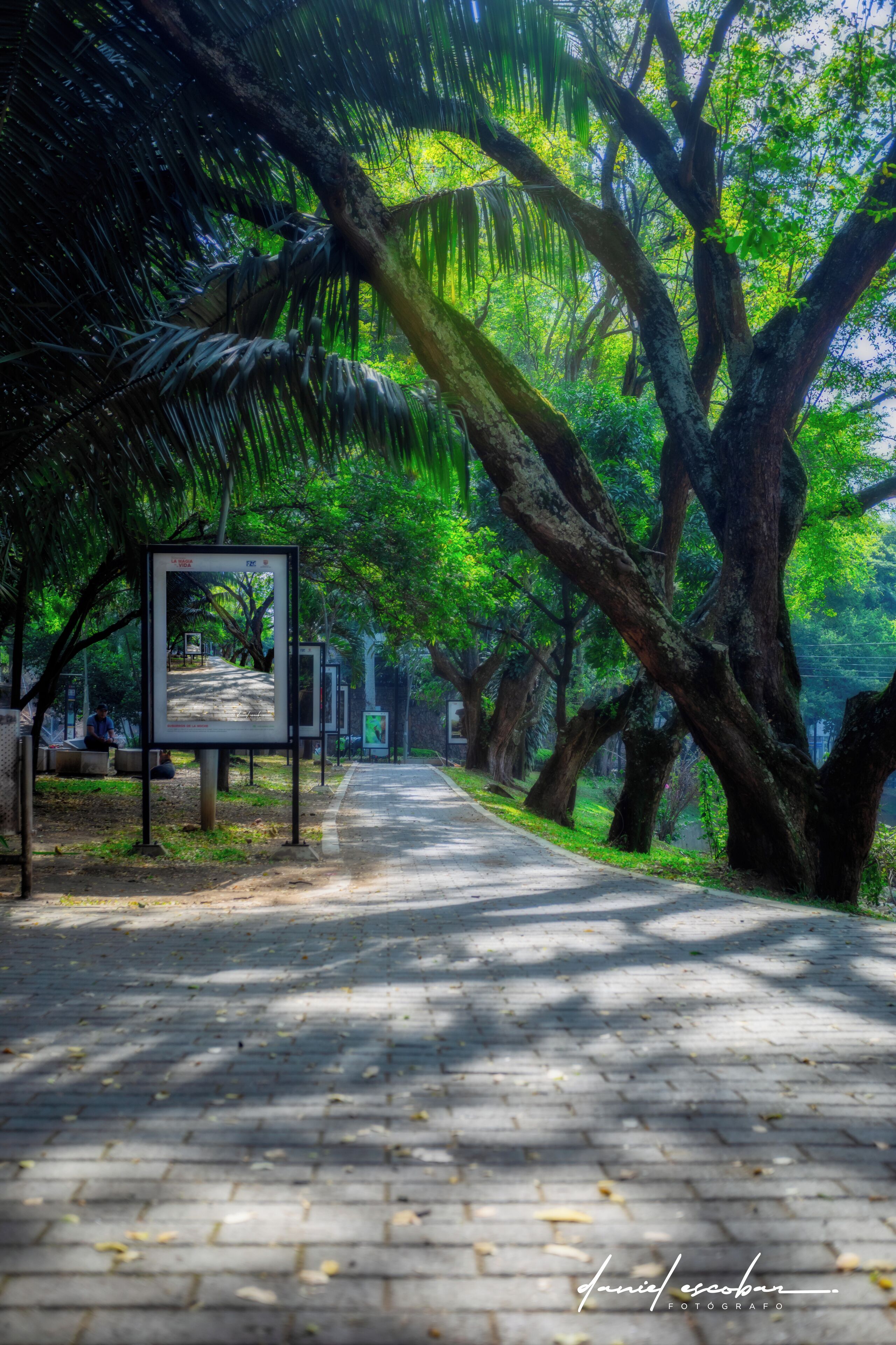 Foto - Hotel Obelisco