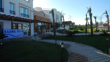 Chambre Double Standard pour 1 personne | Vue de la chambre