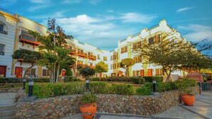 Un patio con paredes de piedra, plantas en macetas y edificios con balcones.