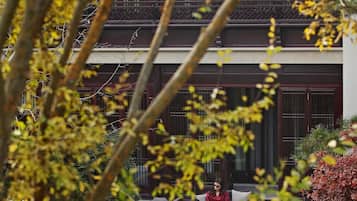 Udsigt fra værelset