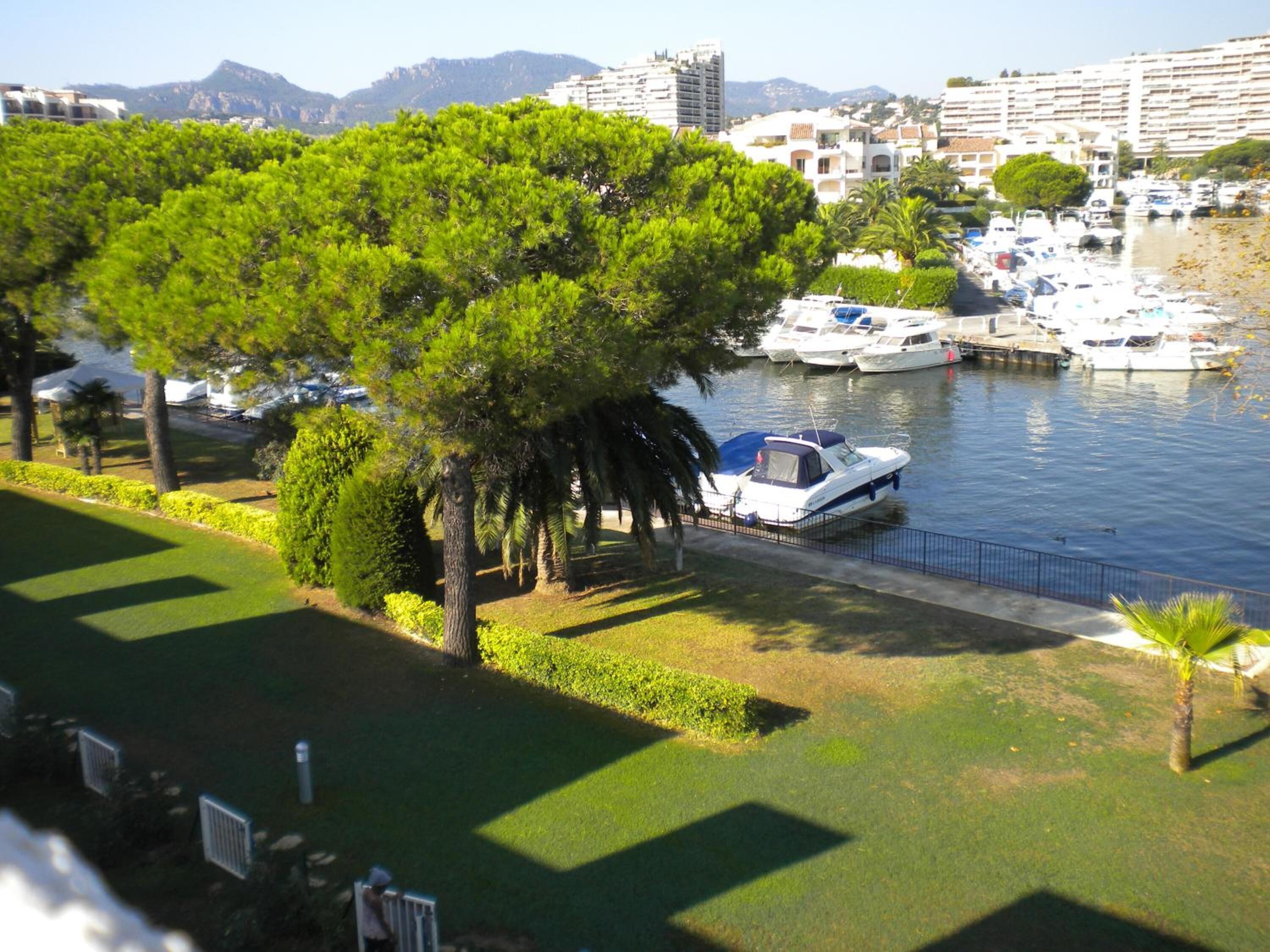 Un puerto deportivo con barcos amarrados, rodeado de vegetación y edificios al fondo.