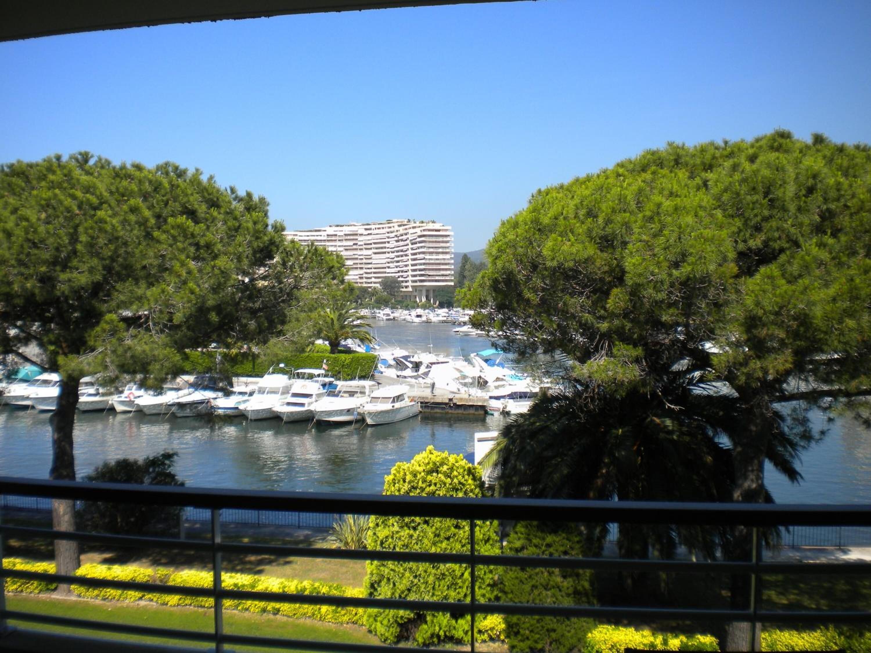 A marina with boats docked, a large hotel building in the background, and trees framing the view.