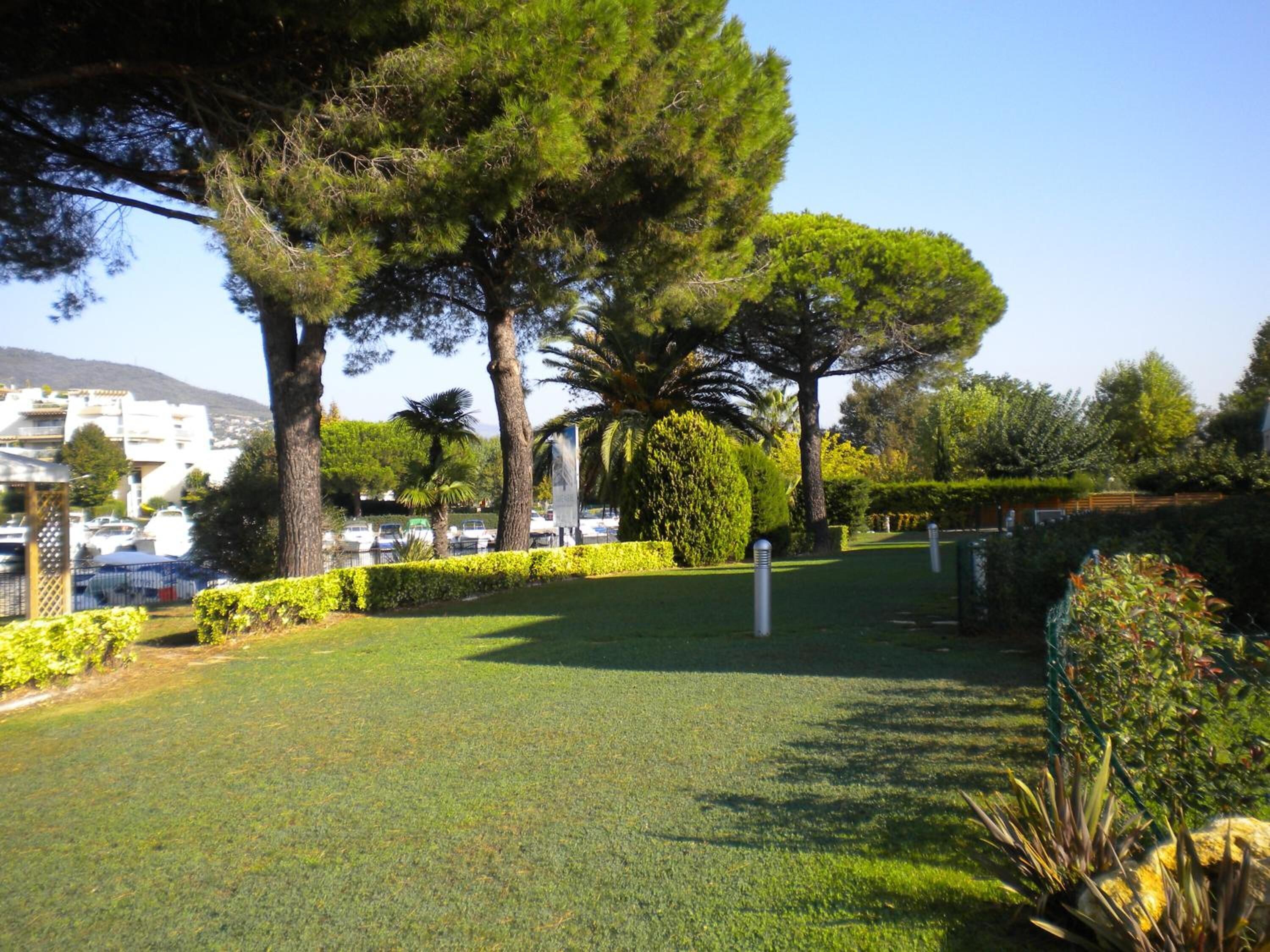 Un jardin bien entretenu, agrémenté de divers arbres et arbustes, un ciel dégagé et une vue sur un quartier résidentiel en arrière-plan.