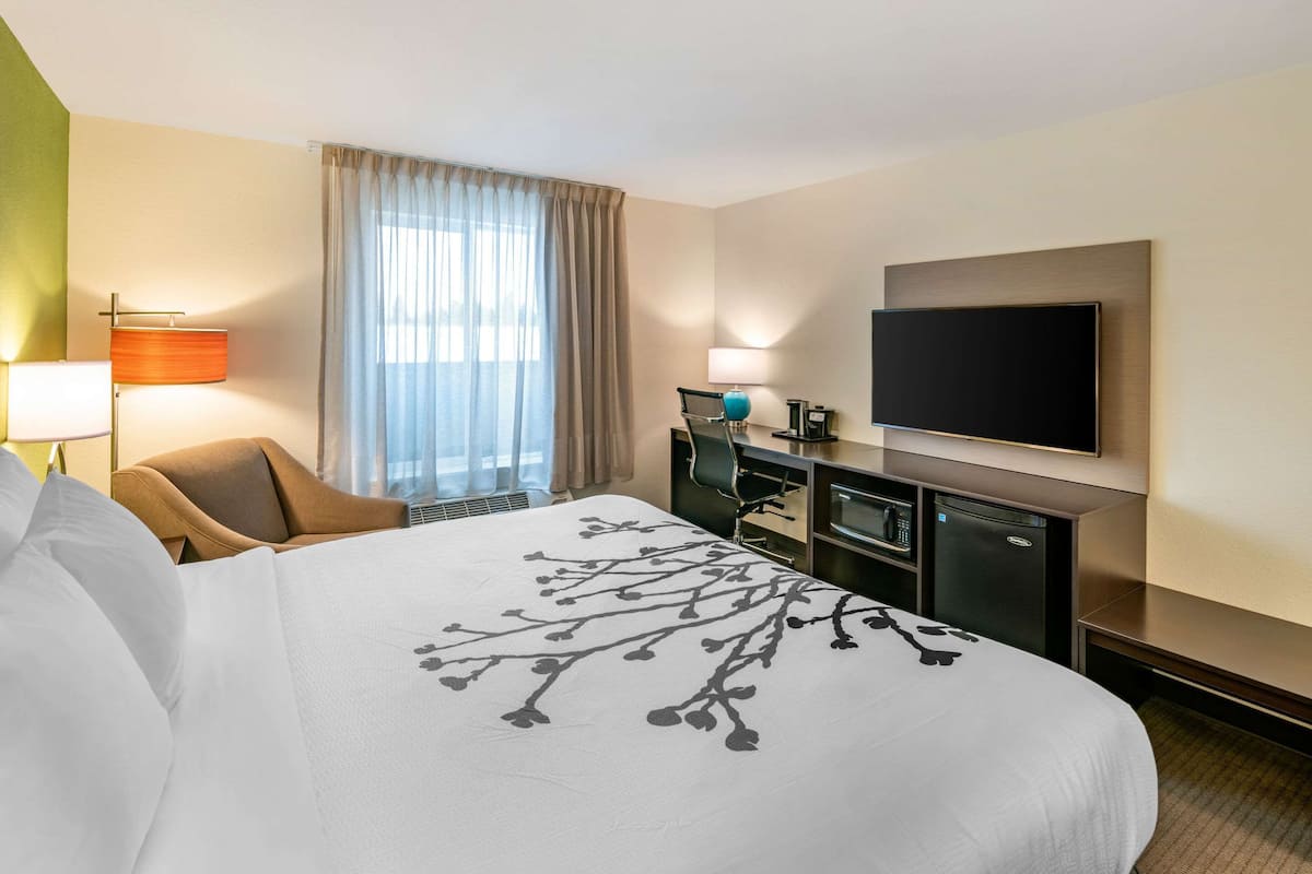 standard room, 1 king bed, non smoking | premium bedding, individually decorated, individually furnished, desk