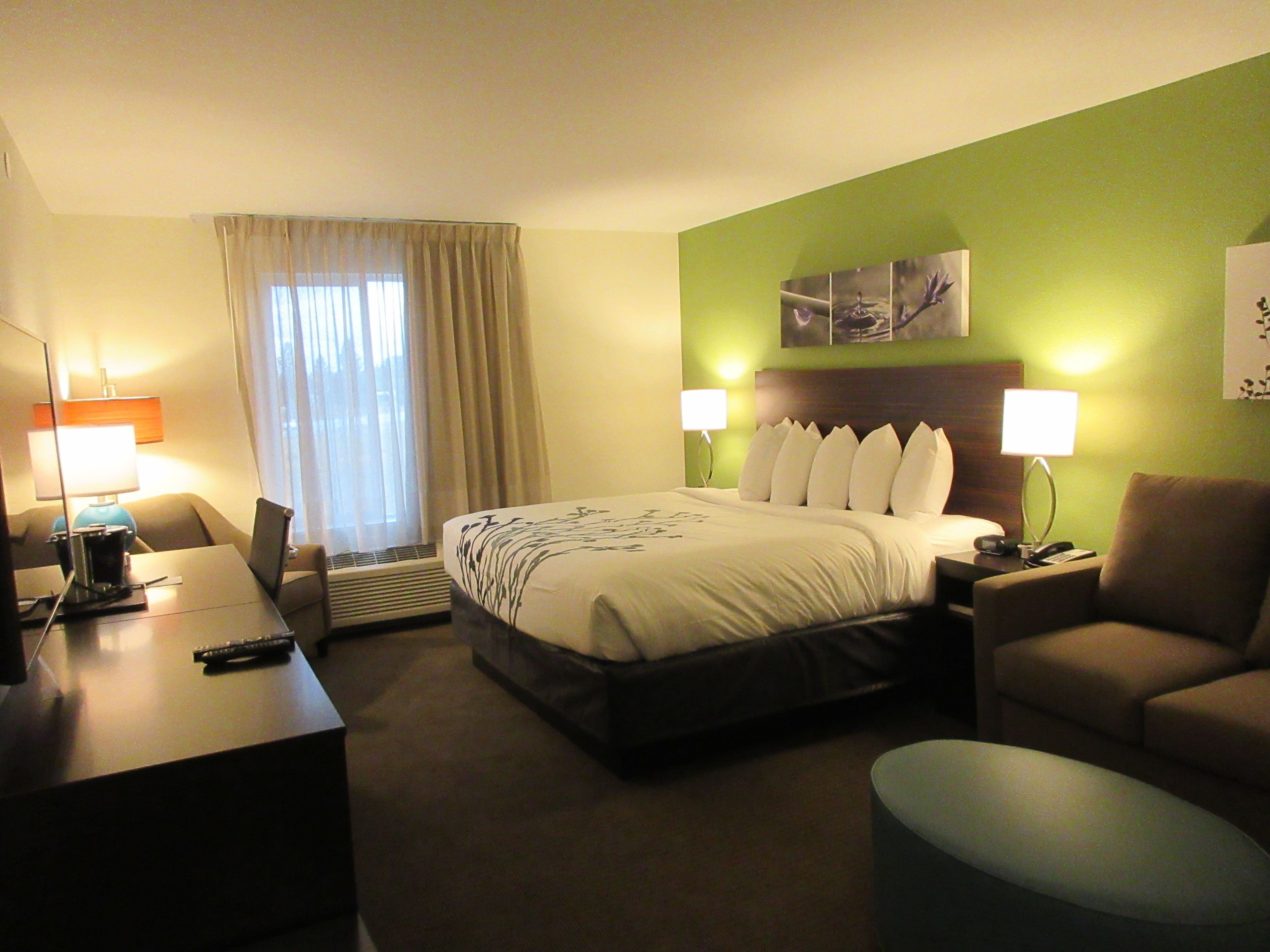 standard room, 1 king bed with sofa bed, non smoking | premium bedding, individually decorated, individually furnished, desk