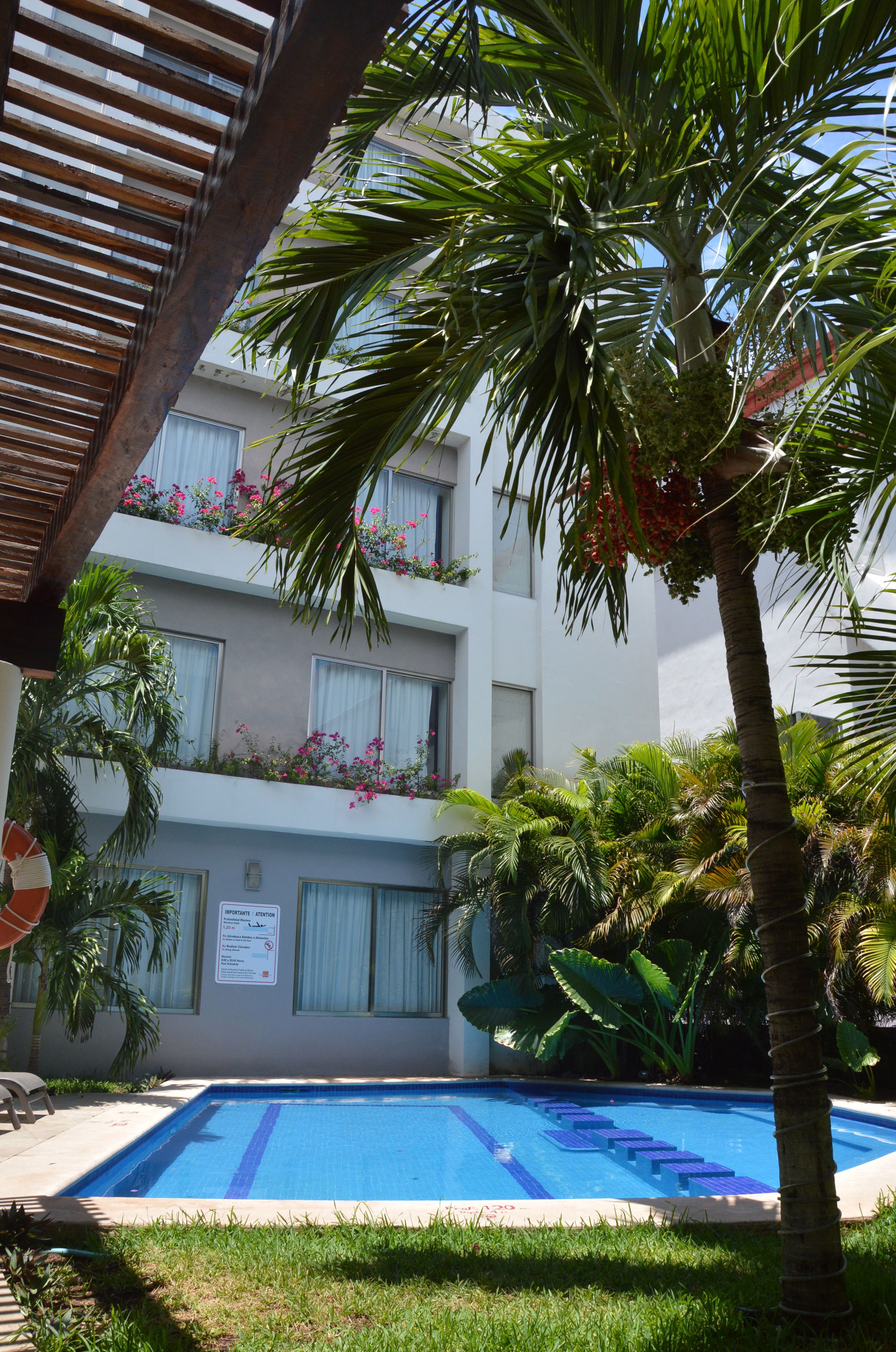 Une piscine entourée d’une végétation luxuriante et un immeuble à plusieurs étages doté de balcons.