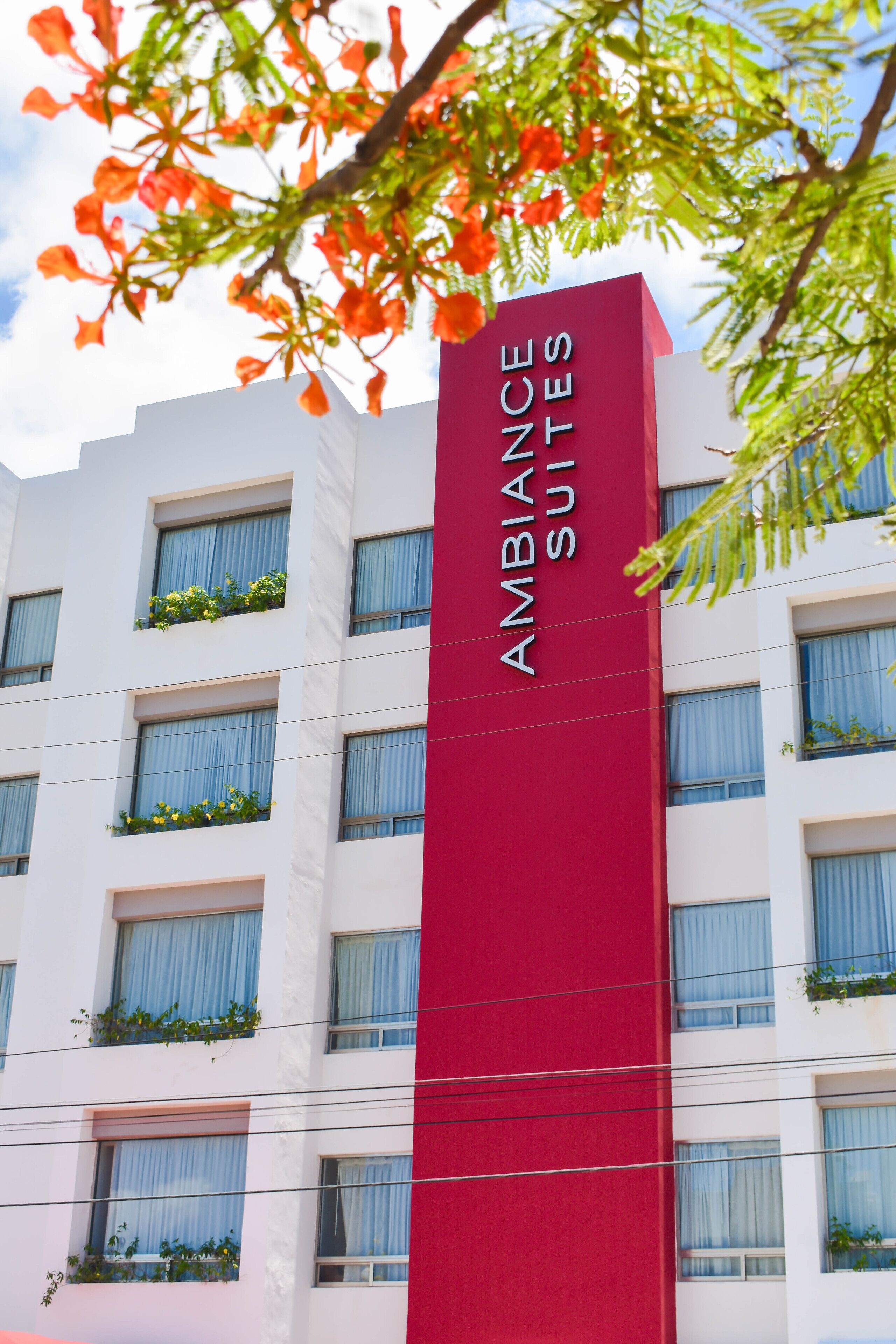 Bãi đậu xe tự phục vụ miễn phí, bãi đậu xe có người phục vụ miễn phí 