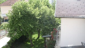 Immagine non classificata, 5 di 56, pulsante