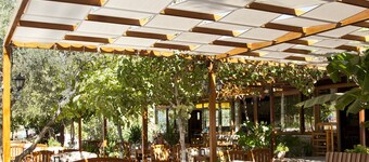 Gokcen Hotel & Apartments