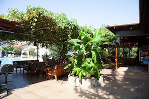 Café da manhã com buffet todos os dias mediante uma taxa