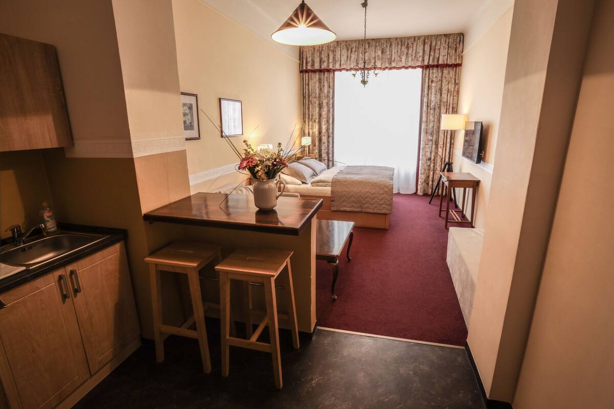 Comfort Studio, 1 Bedroom, Kitchenette, City View