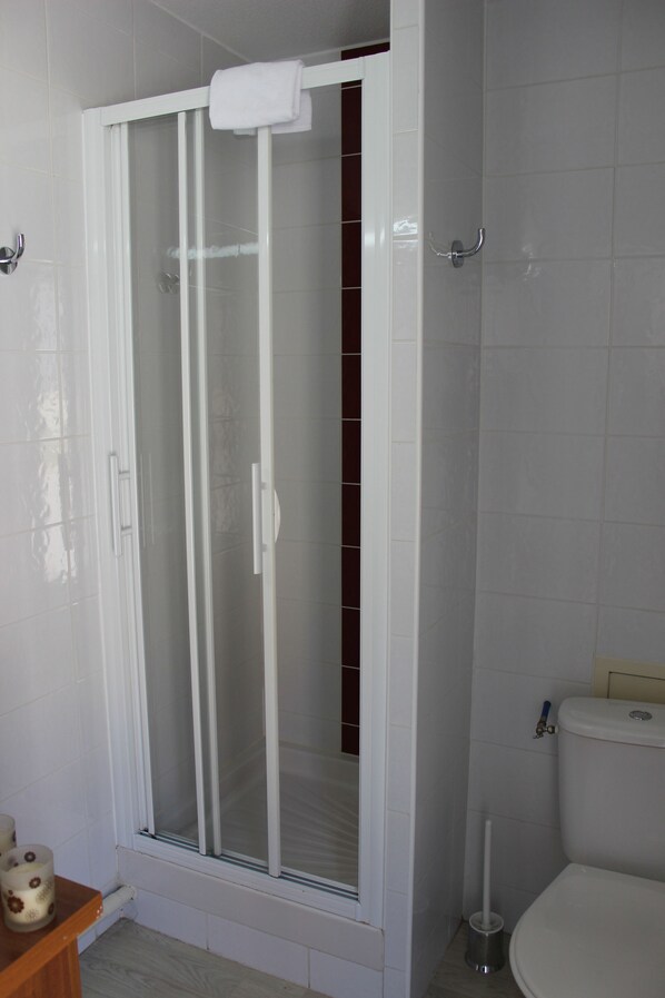 A bathroom with a glass-enclosed shower, a toilet, and a small shelf with toiletries.