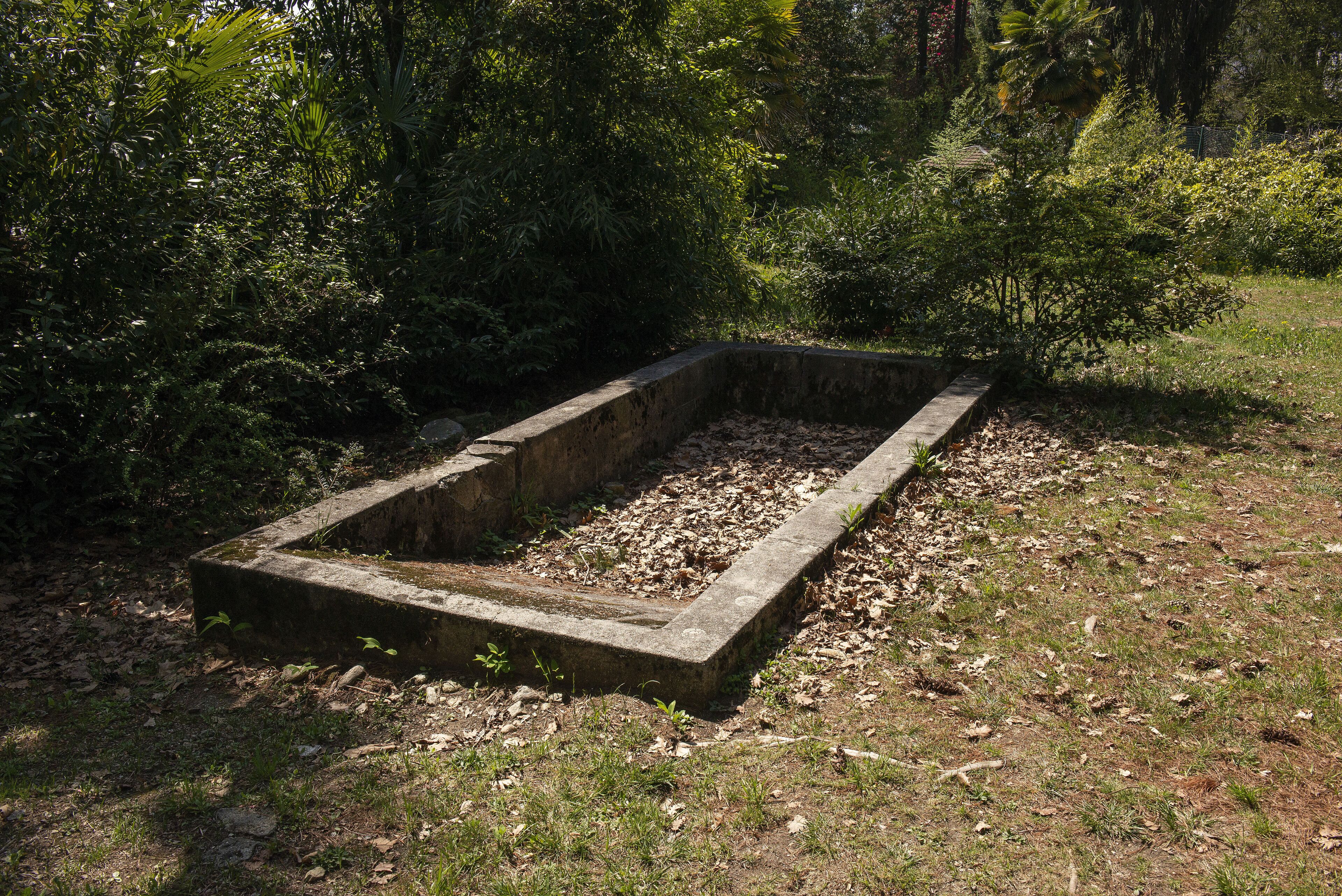 A rectangular concrete structure surrounded by dense foliage.