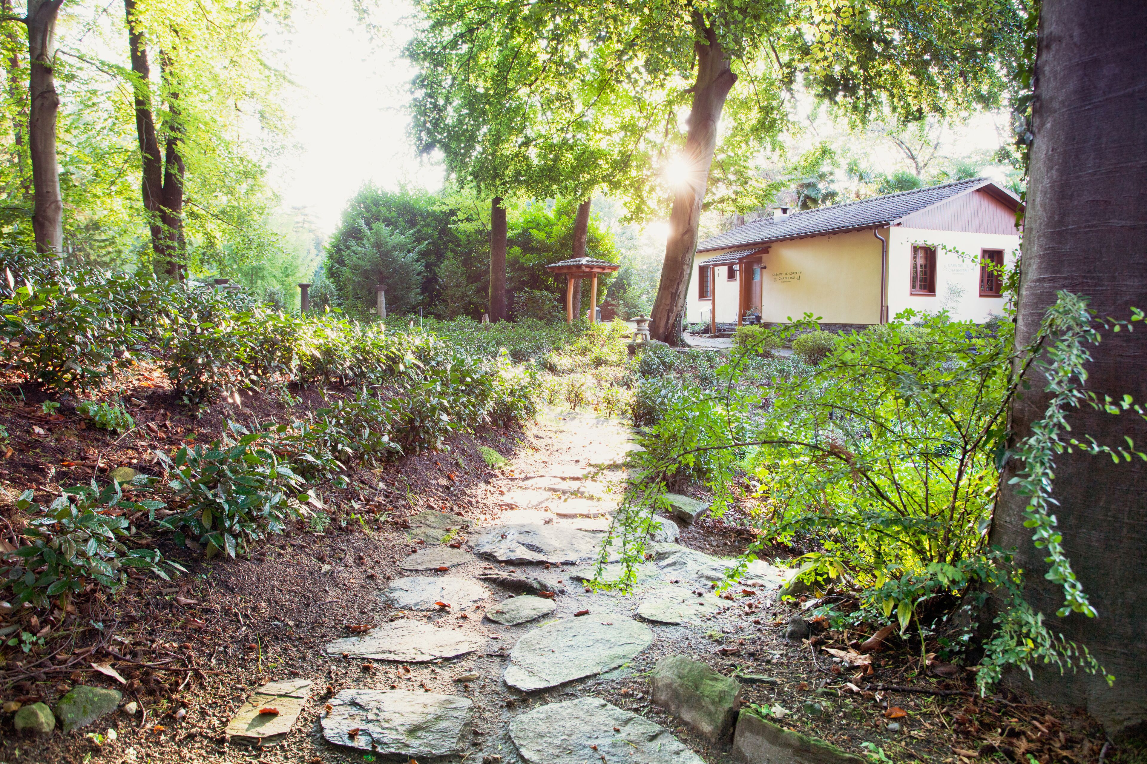 Foto - Hotel Monte Verità