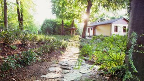 A stone pathway leading to a building surrounded by lush greenery and trees. - Monte Verità (Ascona)