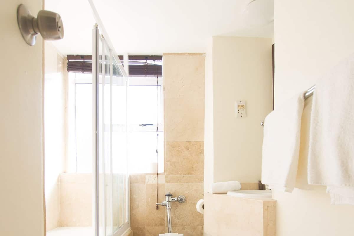 Combined shower/bathtub, free toiletries, hair dryer, towels