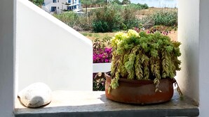 Una planta en maceta en un balcón con vista al mar y edificios.