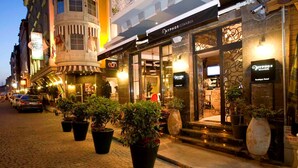 A hotel with a classic facade, a visible entrance, and potted plants along the sidewalk.