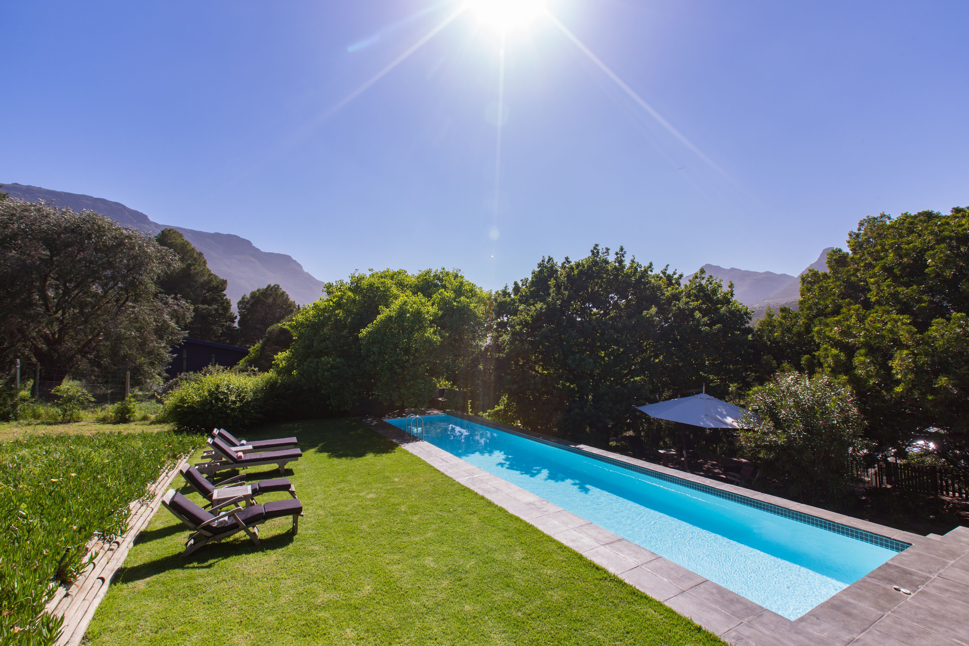 室外游泳池，日光浴躺椅