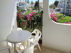 Basic Apartment | Terrace/patio