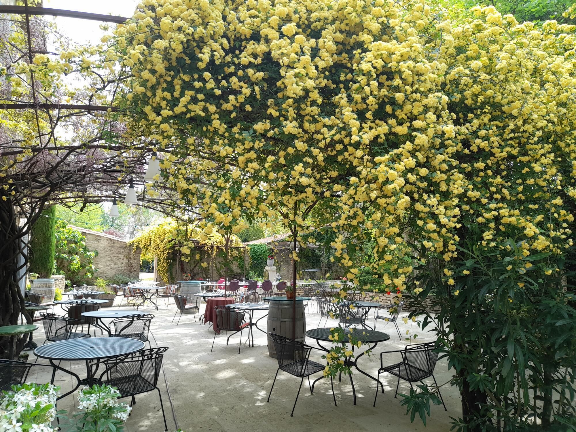 lunch and dinner served, mediterranean cuisine