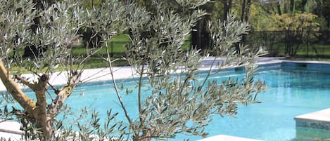 Outdoor pool, sun loungers