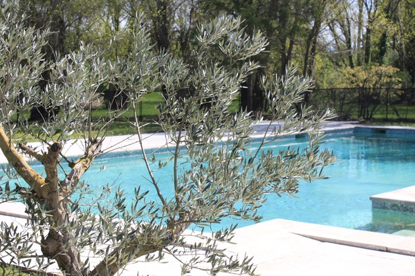 Outdoor pool, pool loungers
