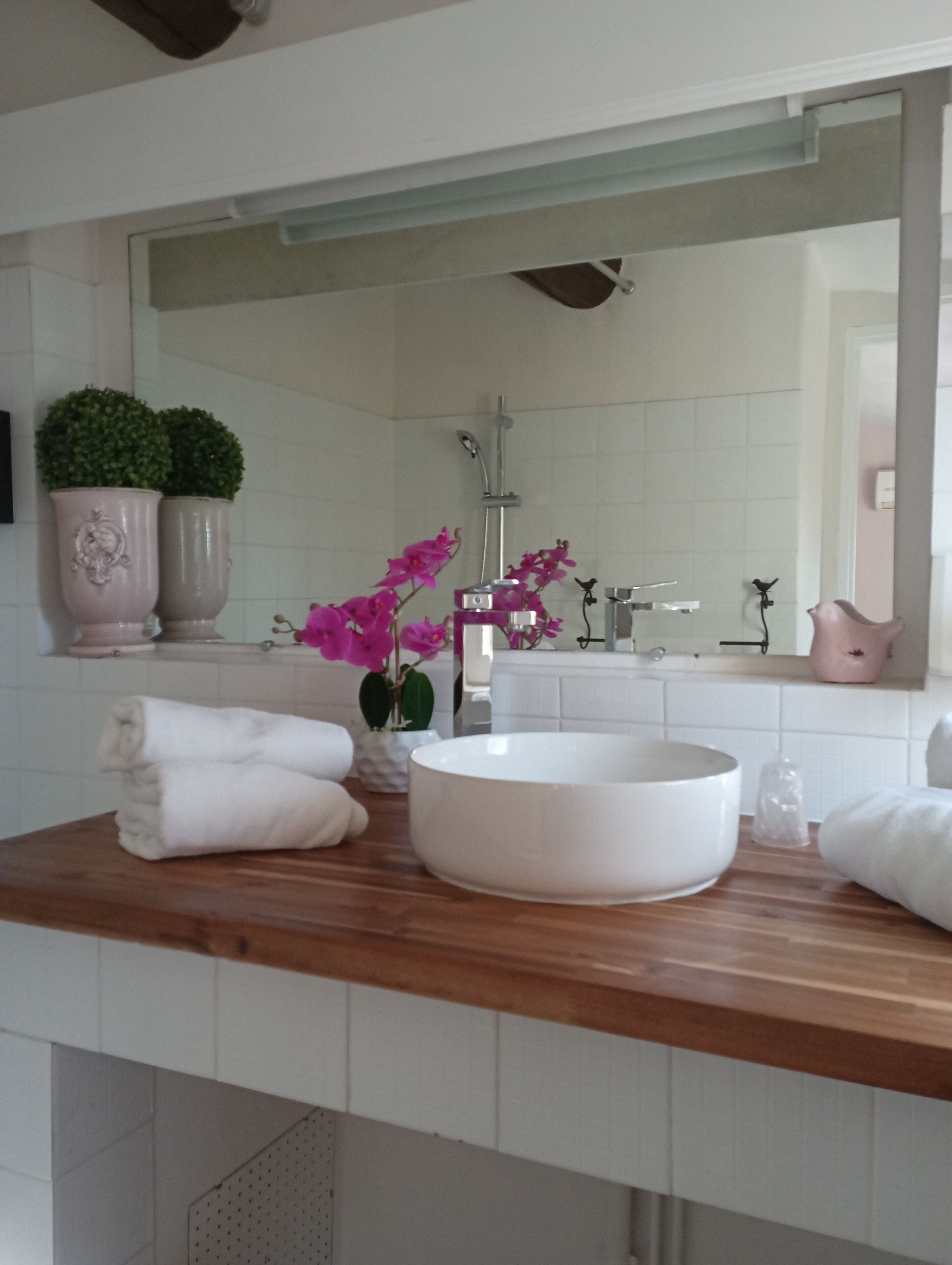 economy double room | bathroom sink