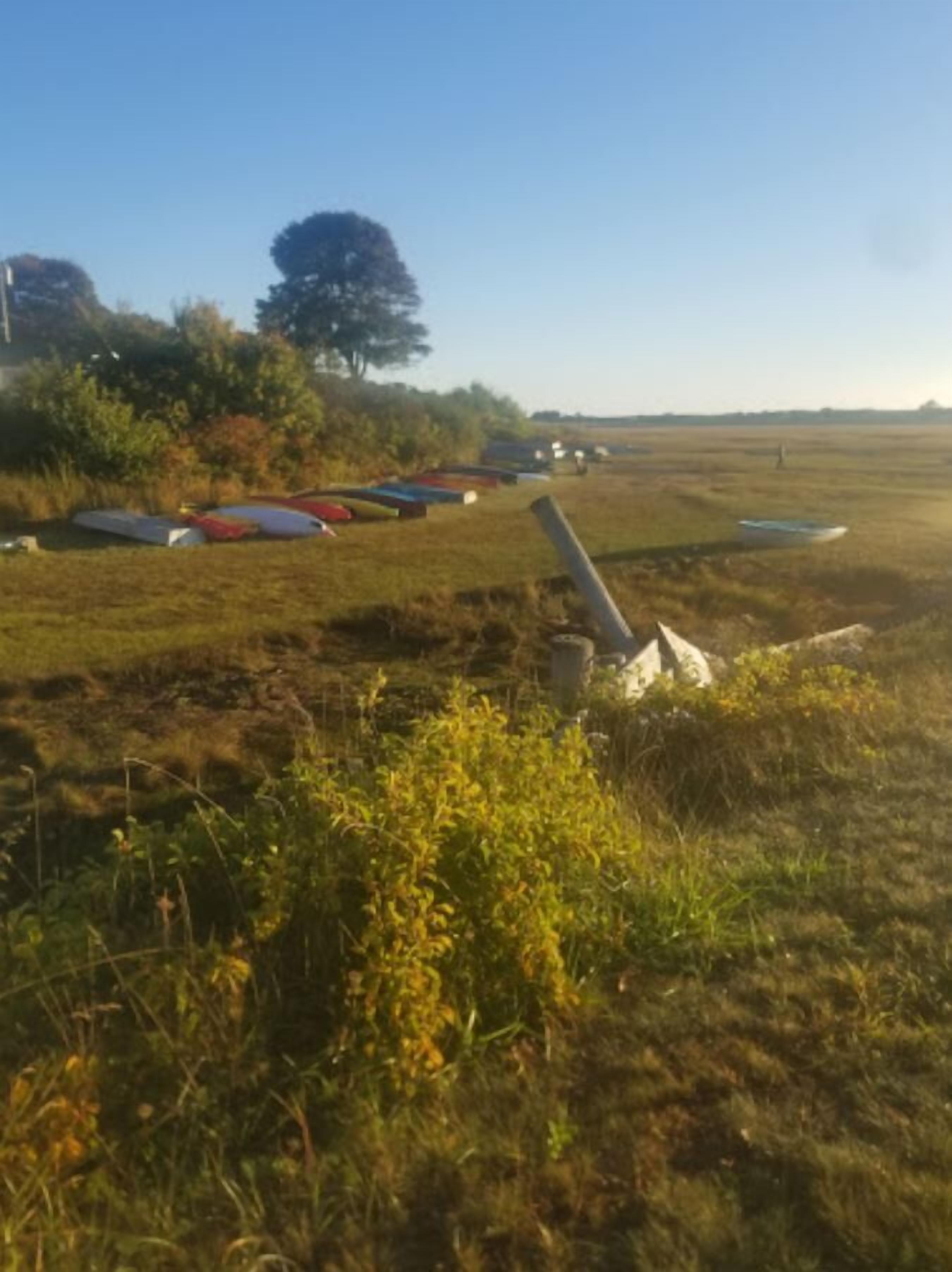 Un campo cubierto de hierba con varias embarcaciones alineadas.