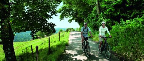 Deux personnes font du vélo sur un chemin bordé d’arbres, avec une zone herbeuse et une clôture d’un côté.