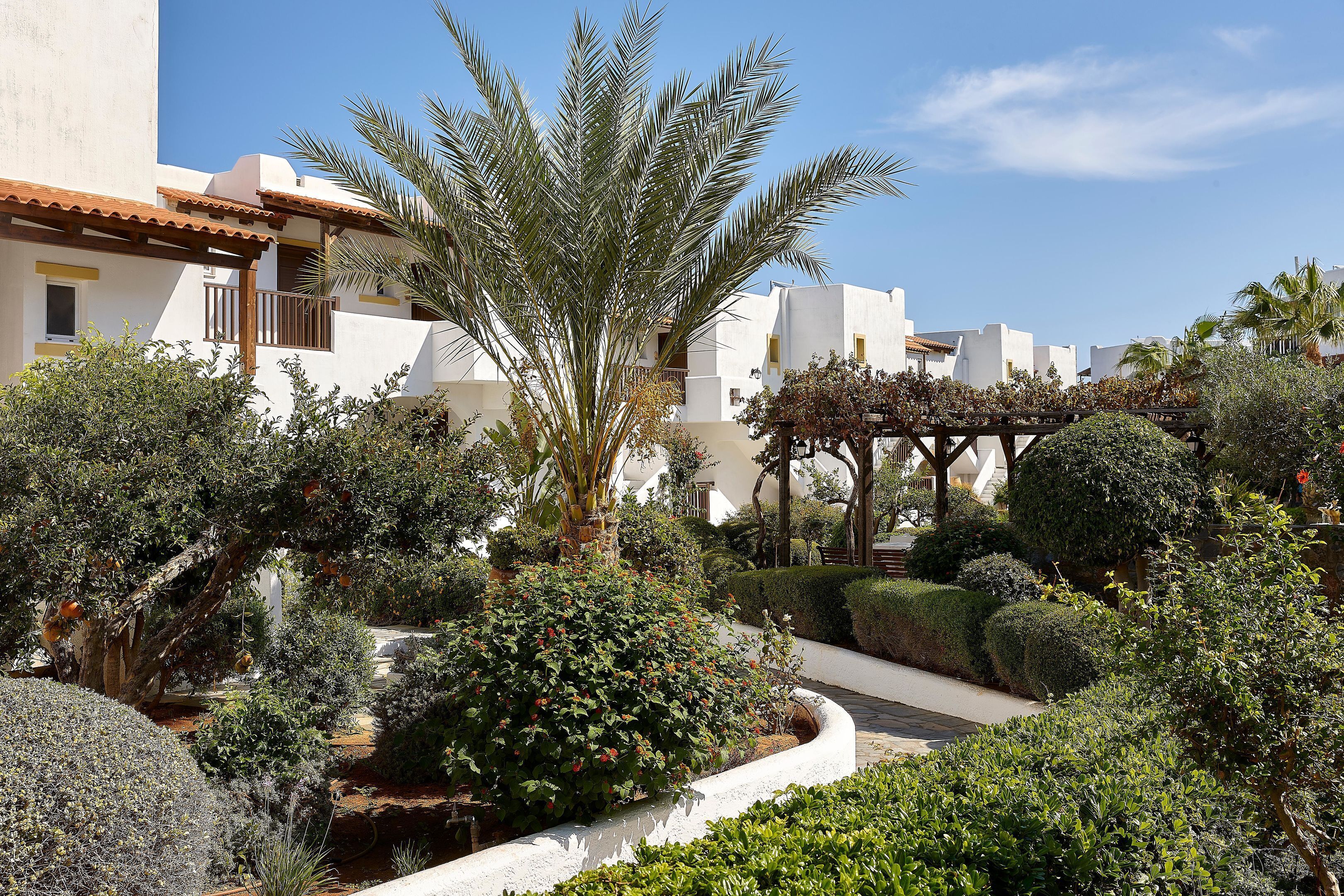 A well-maintained garden with various plants and a palm tree, surrounded by white buildings with balconies.