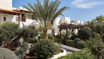 A well-maintained garden with various plants and a palm tree, surrounded by white buildings with balconies.