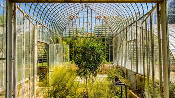 Jardin