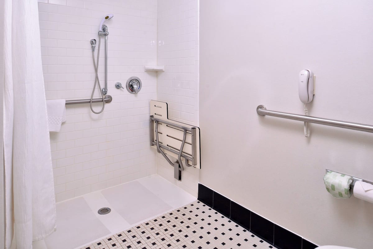combined shower/bathtub, free toiletries, hair dryer, towels