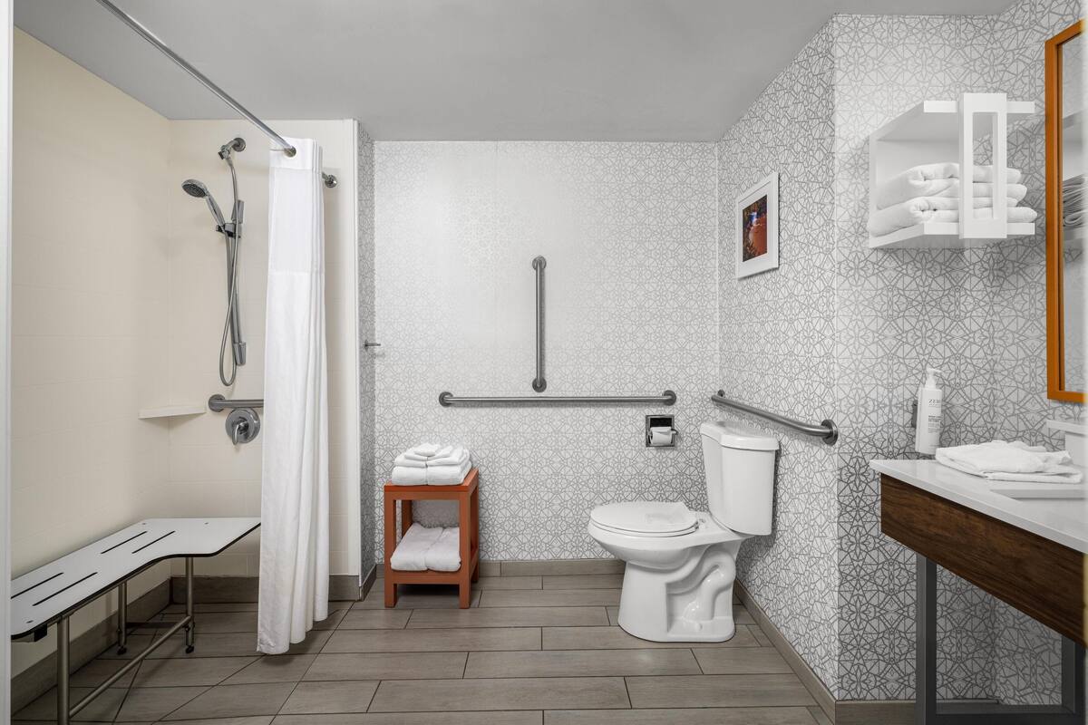 room, 1 king bed, accessible, non smoking | bathroom shower
