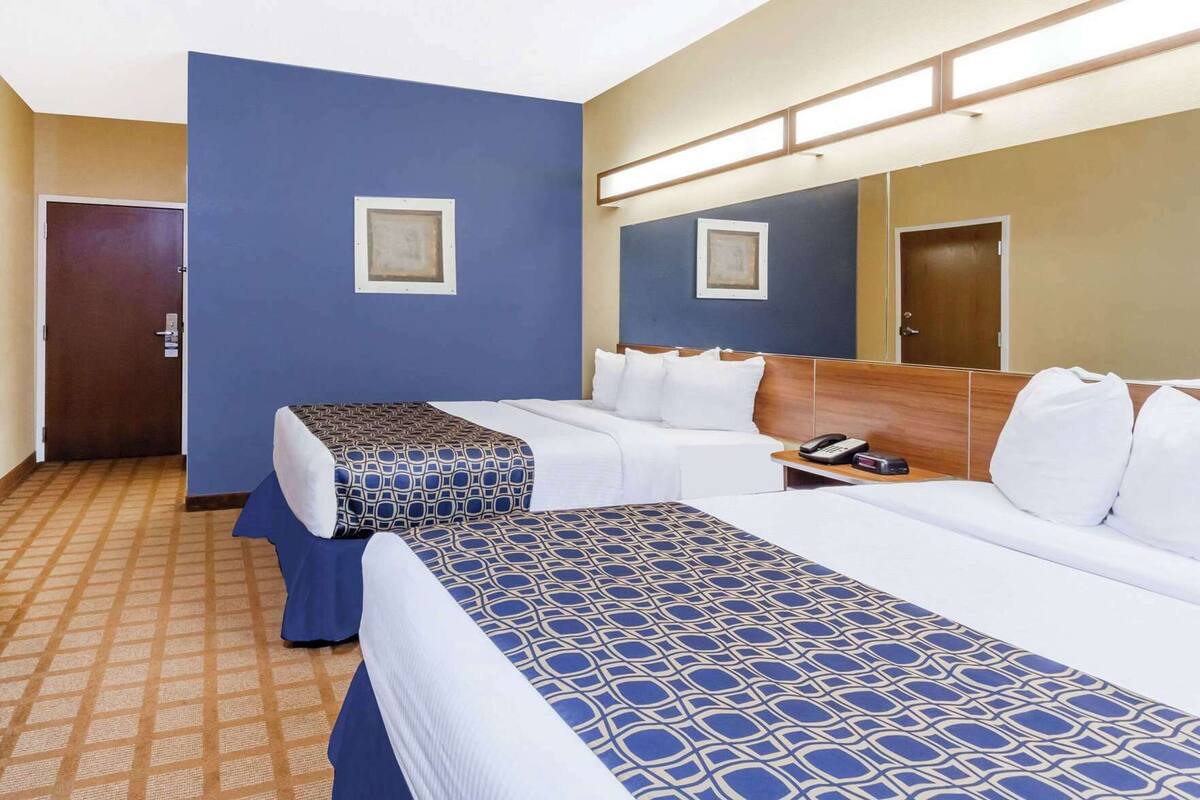 Hypo-allergenic bedding, desk, laptop workspace, blackout curtains