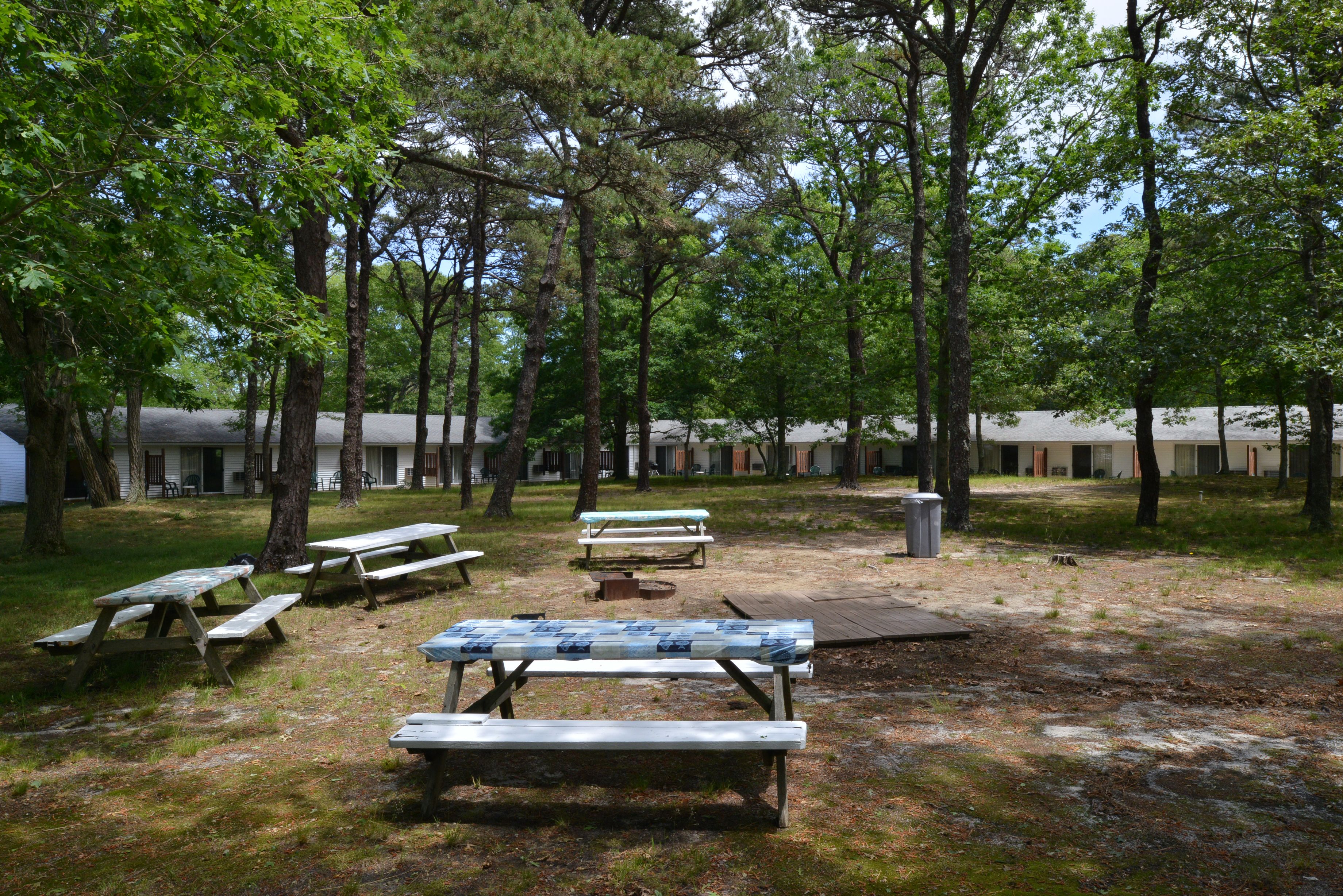 A campground with picnic tables and tents.