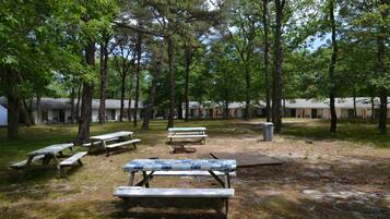 A campground with picnic tables and tents.