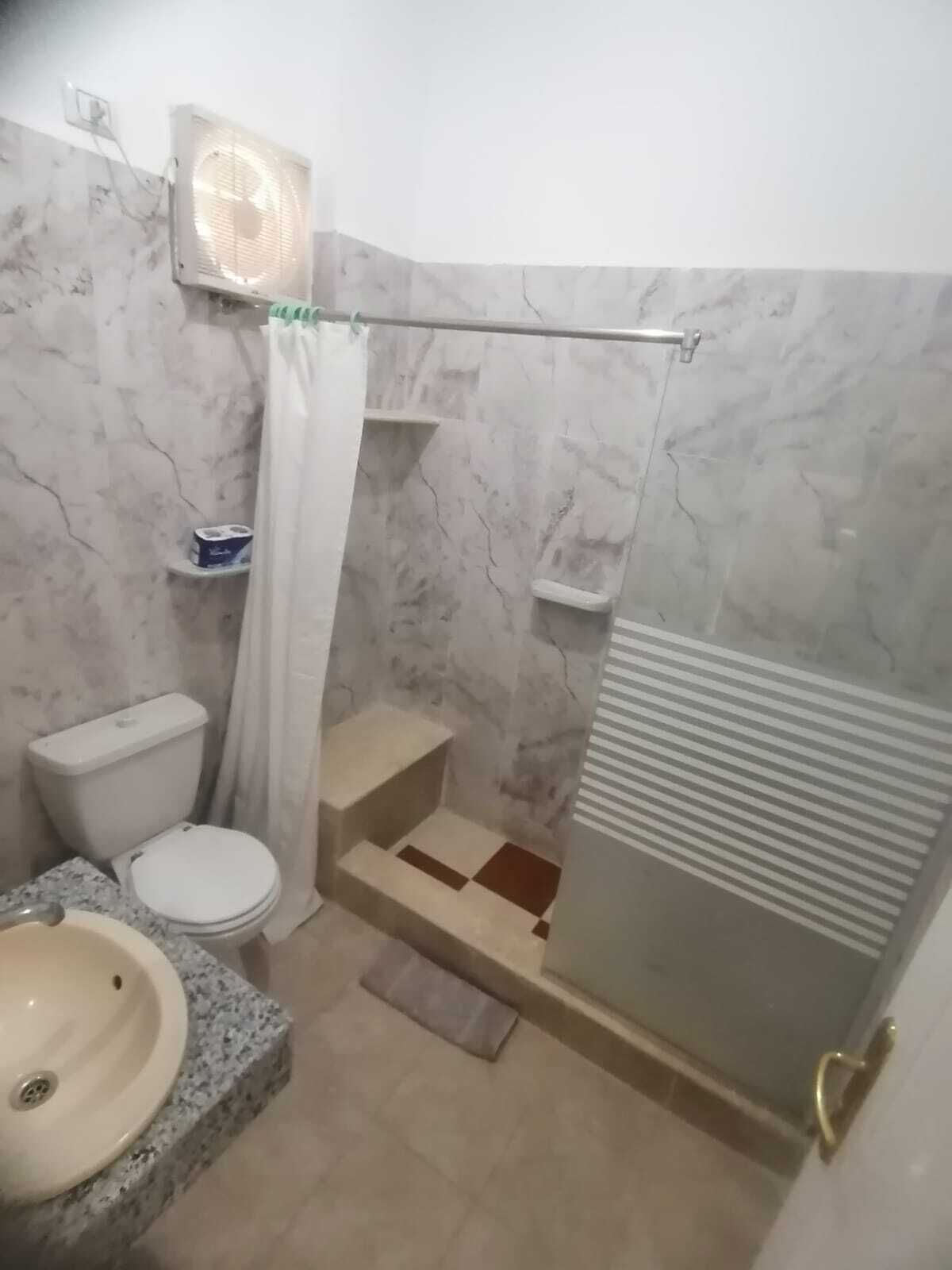 Baño con inodoro, lavamanos, ducha y toallero.