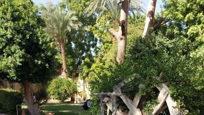 A fountain with a wooden structure in a garden with trees and a paved area. - Rezeiky Hotel And Camp Luxor (Luxor)
