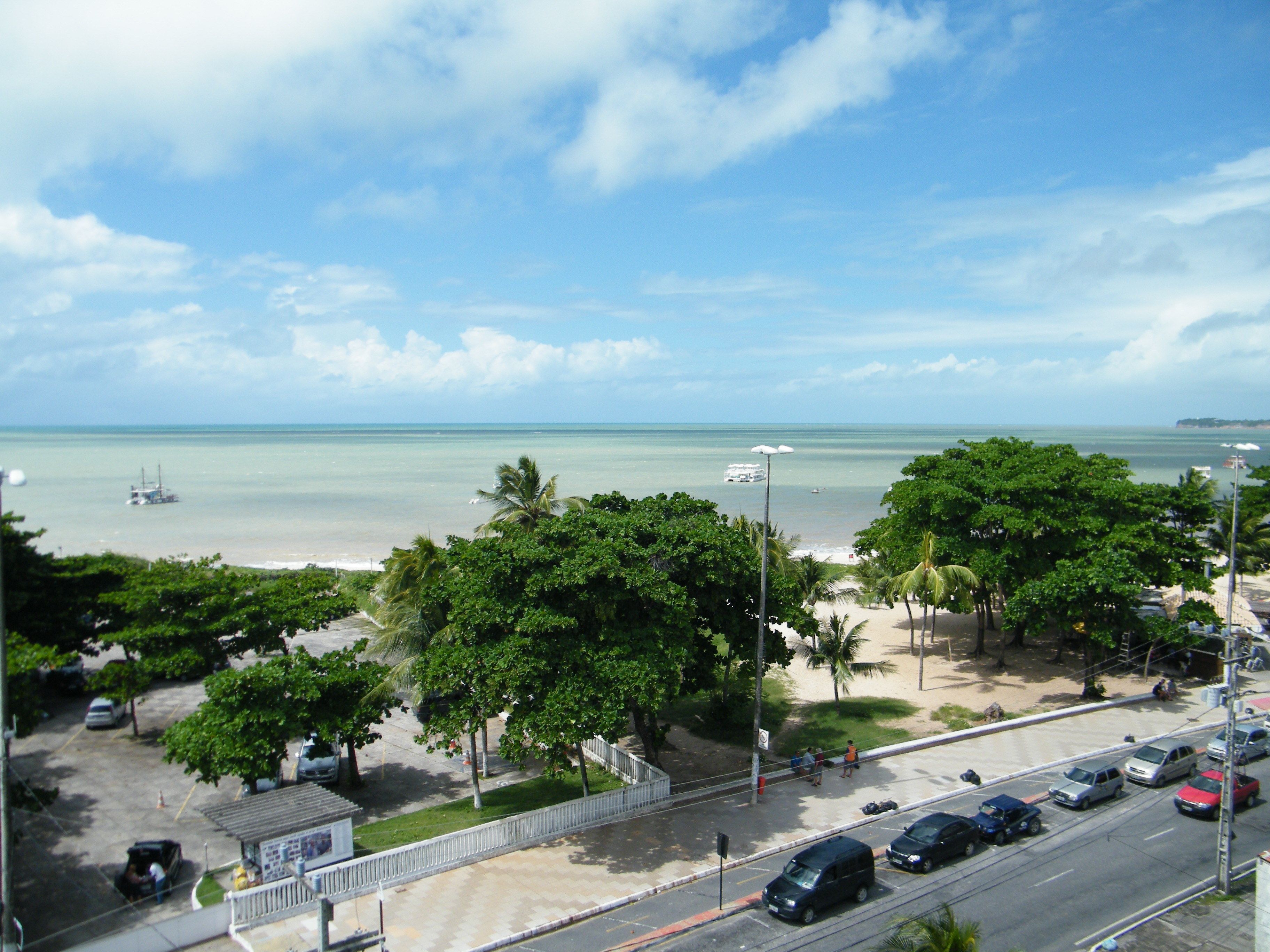 Una carretera costera con coches estacionados, una playa y palmeras.