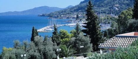 Vista desde la propiedad