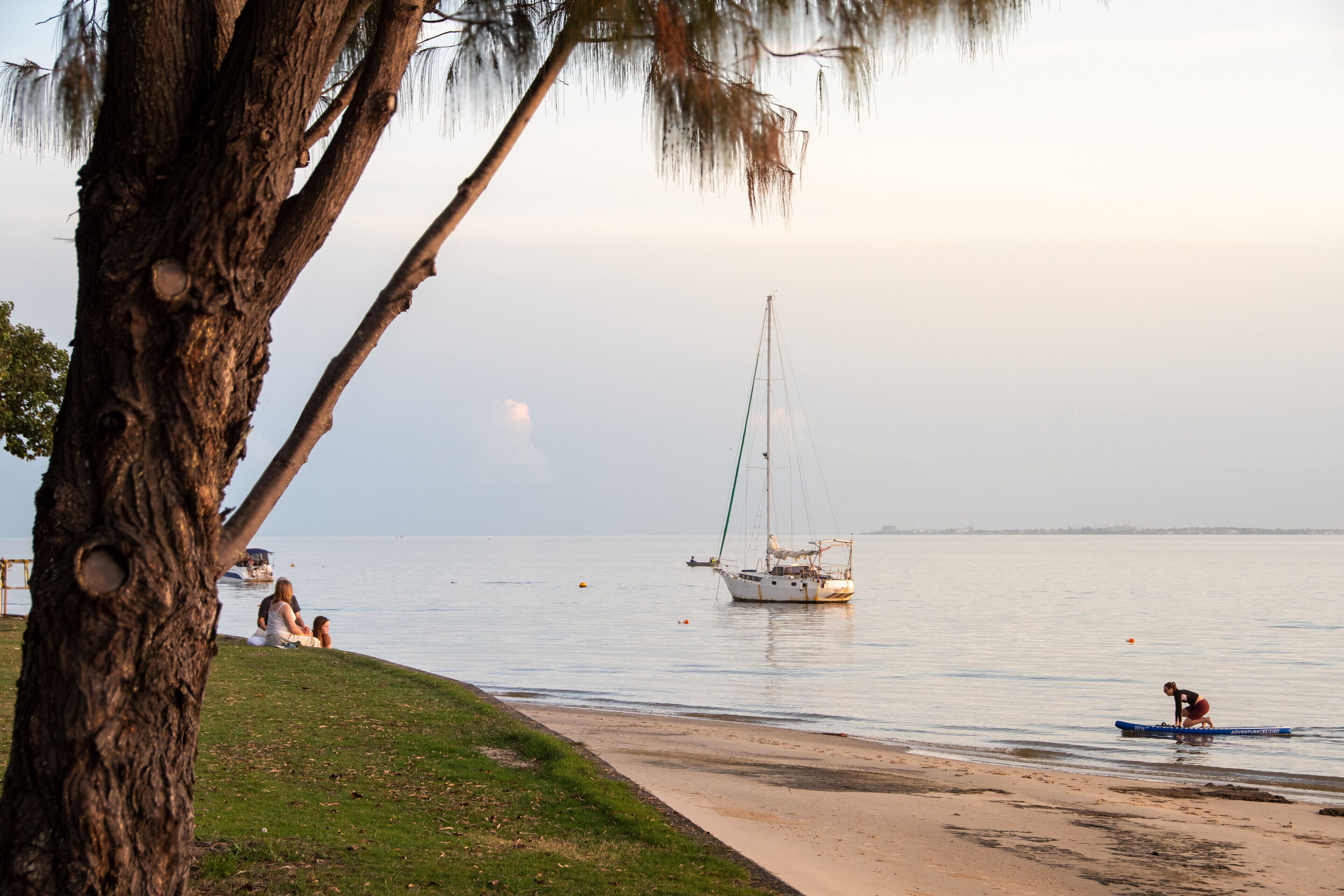 Une plage avec un voilier, une personne dans un kayak et un arbre recouvert de mousse pendant.