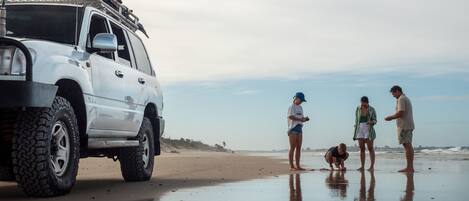 Un SUV blanco estacionado en una playa arenosa bajo un cielo despejado.