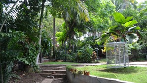 Un jardín con un sendero de hormigón, varias plantas y una jaula de pájaros.