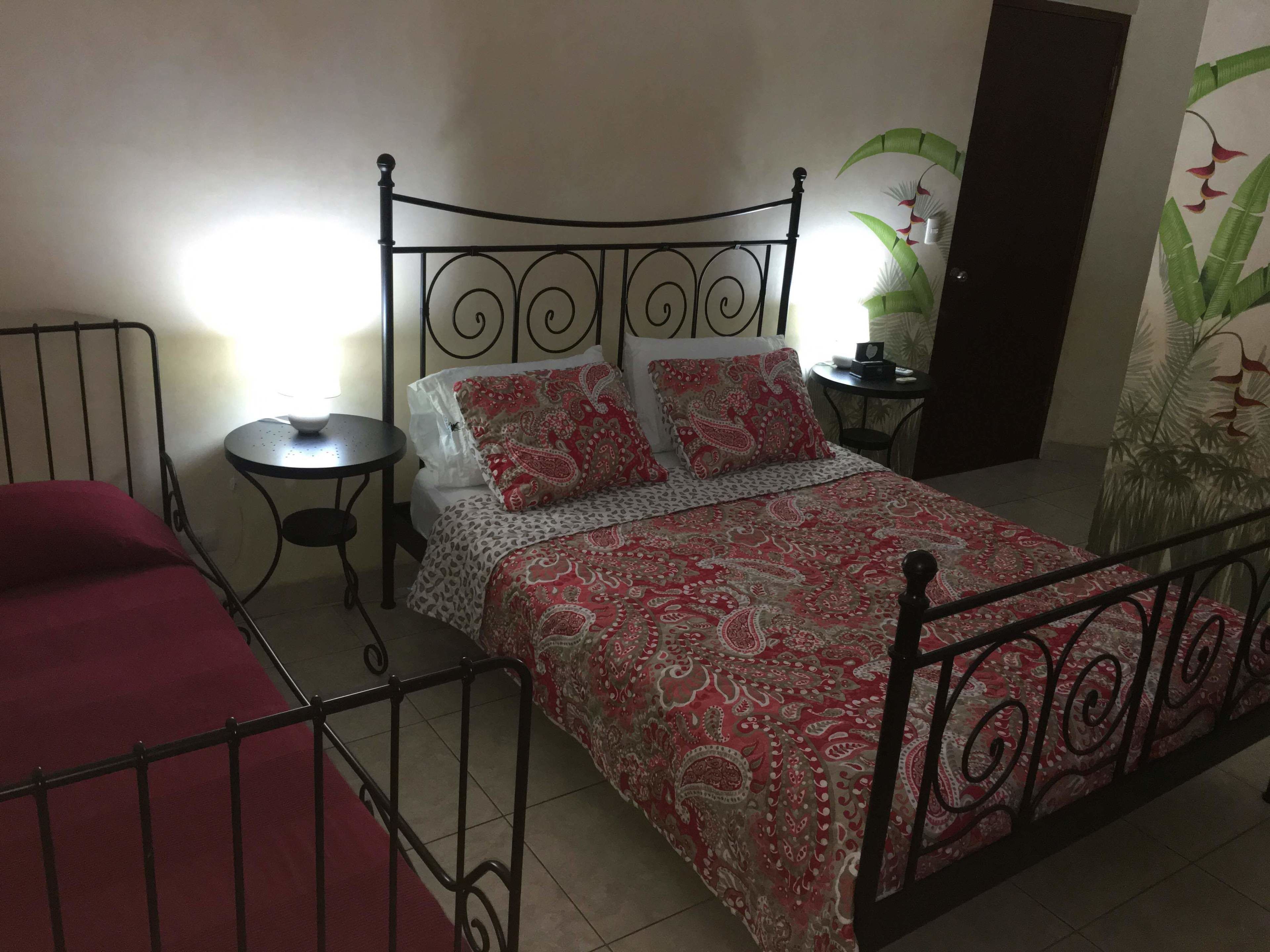A bedroom with a metal bed frame, a bedside table, a chair, and a wall with a plant mural.