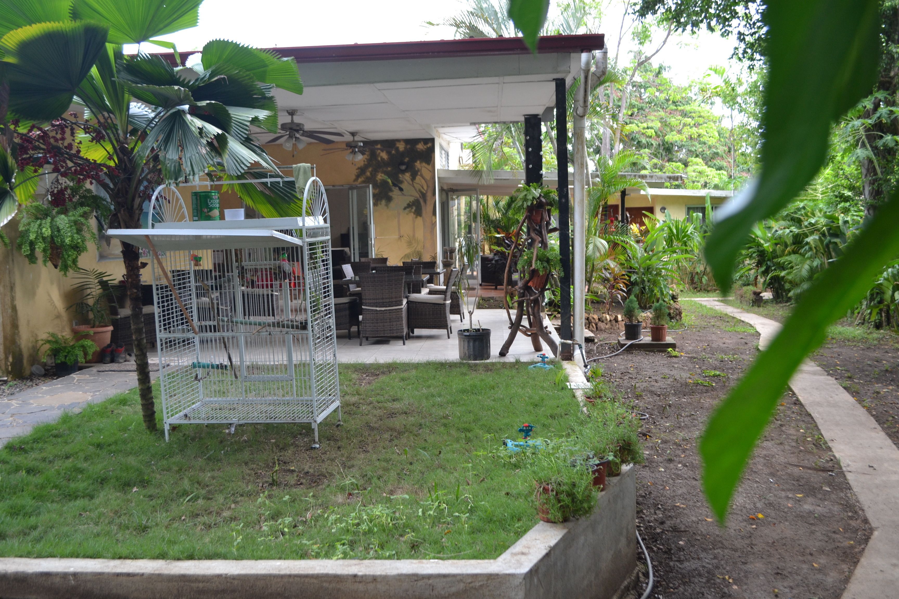 A covered patio area with outdoor furniture, a birdcage, and various potted plants.