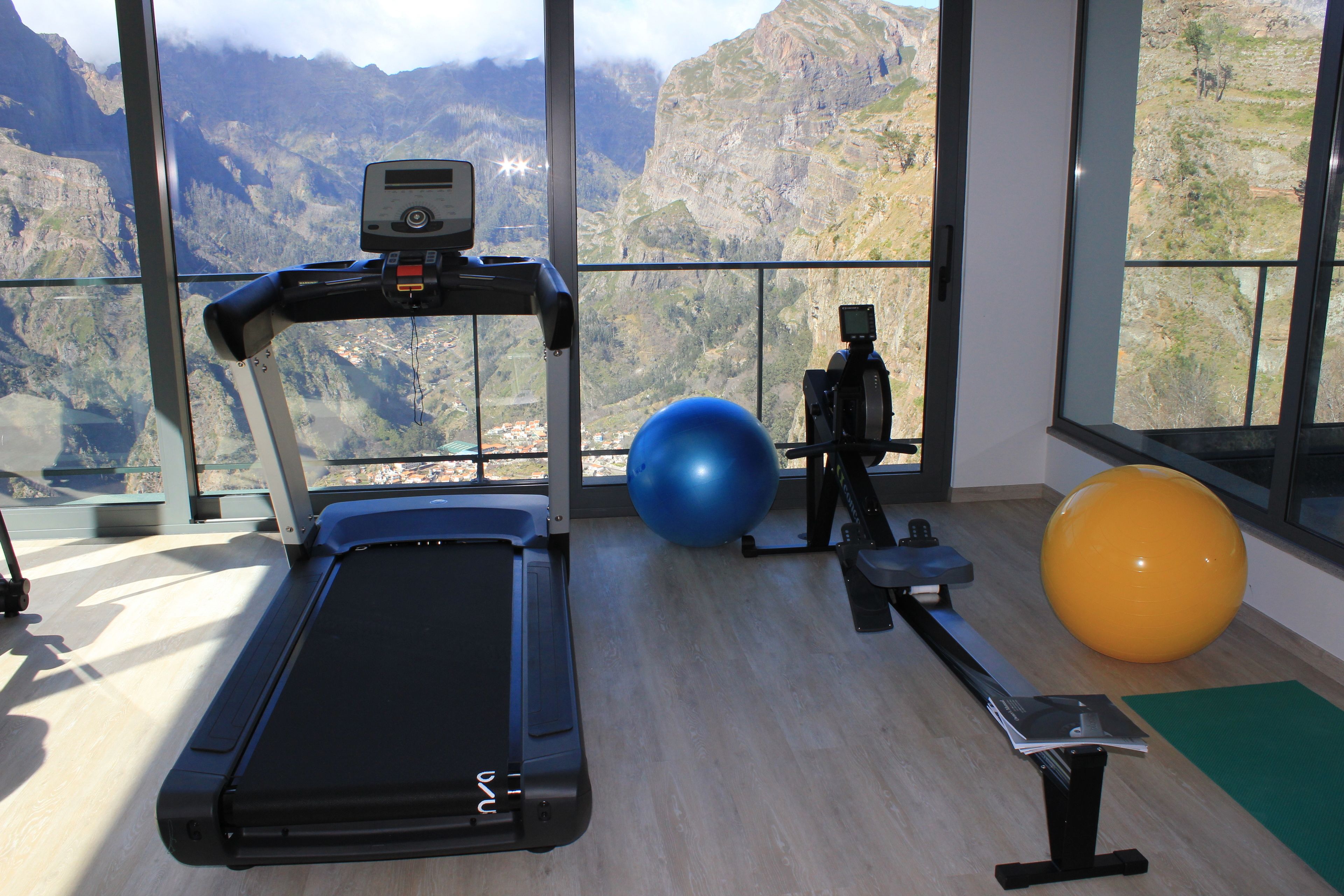 A gym with a treadmill, exercise balls, and a rowing machine, overlooking a mountainous landscape.